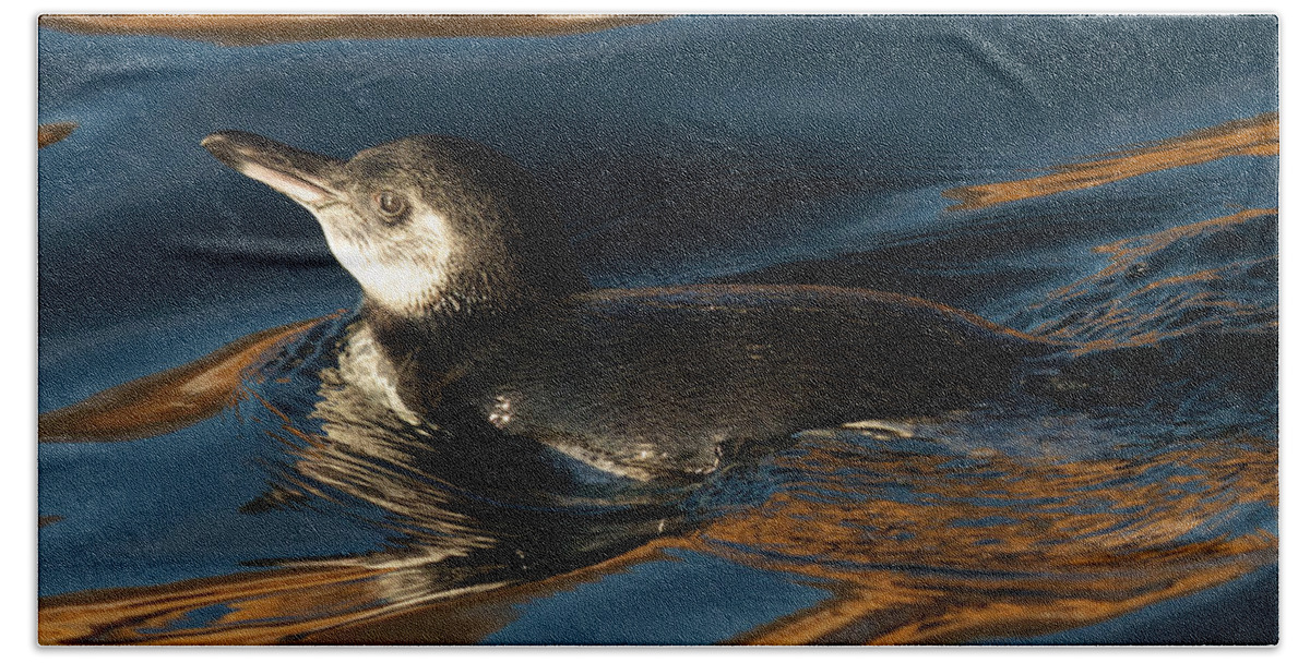Galapagos Islands Beach Sheet featuring the photograph Penguin Watercolor 1 by David Beebe
