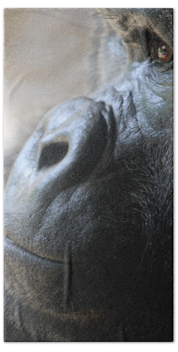 Busch Gardens Beach Towel featuring the photograph Penny For Your Thoughts by David Nicholls