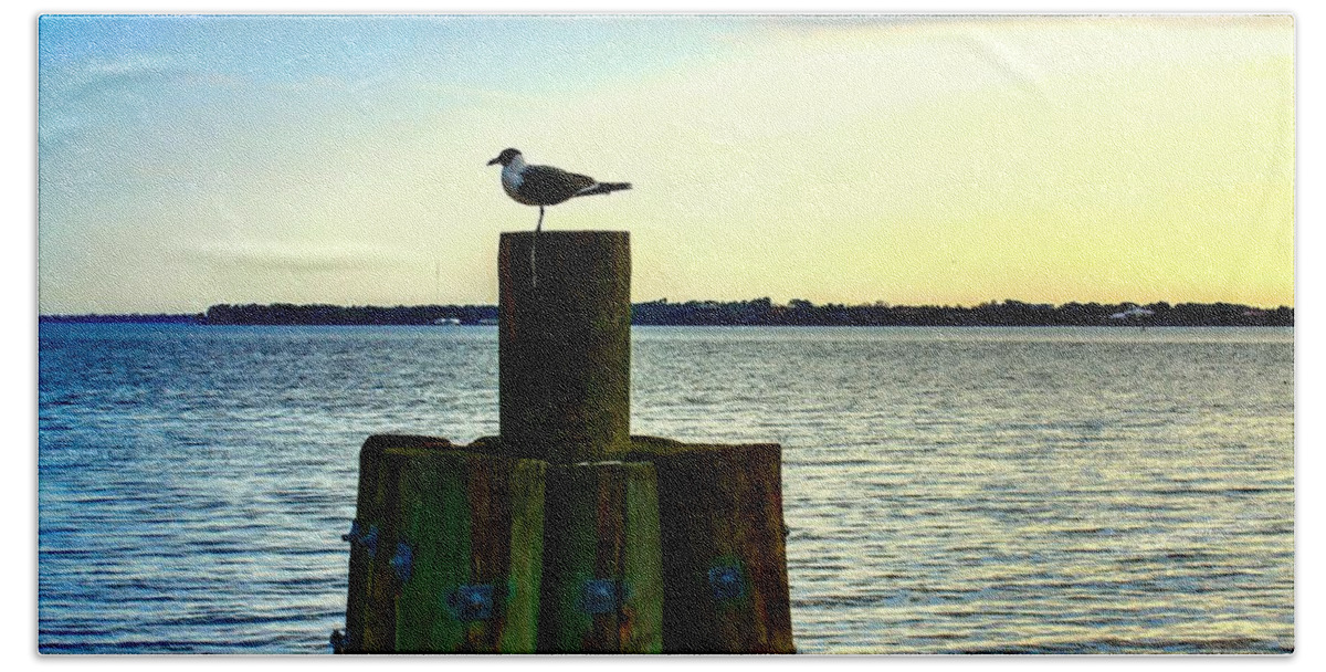 Seagull Beach Towel featuring the photograph Perched Seagull by Debra Forand
