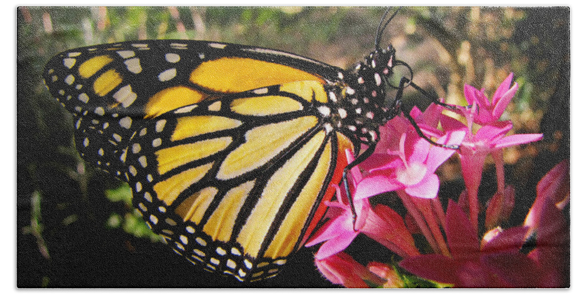 Monarch Beach Towel featuring the photograph Perfect Penta by Lucy VanSwearingen