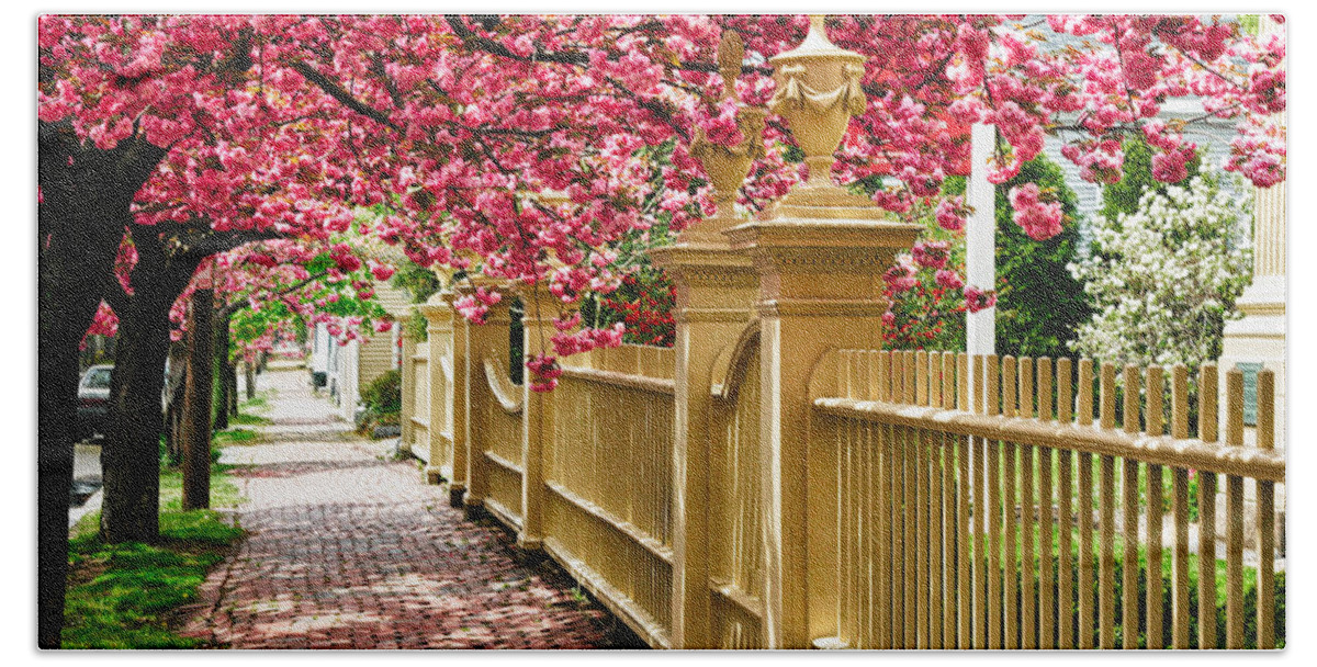 Salem Beach Towel featuring the photograph Perfect time for a spring walk by Jeff Folger