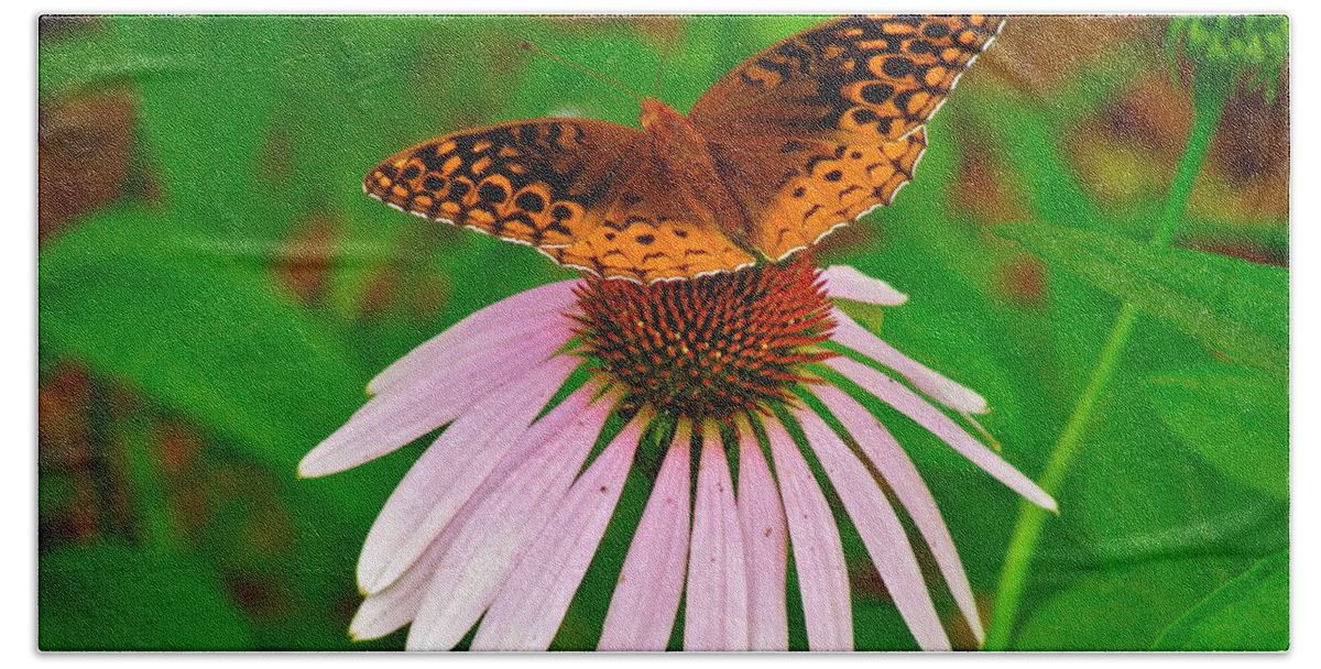 Butterfly Beach Sheet featuring the photograph Perfection by Jody Partin