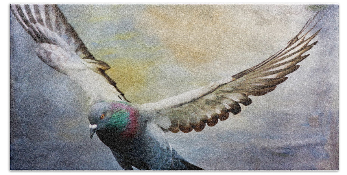 Pigeon Beach Towel featuring the photograph Pigeon On Wing by Deborah Benoit