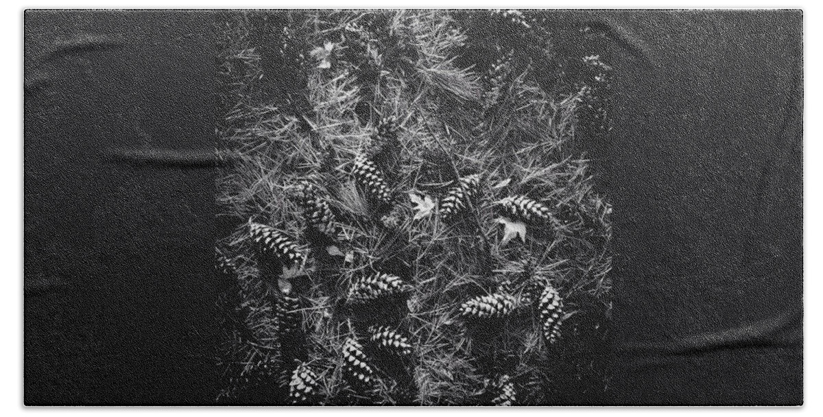 Patterns Beach Towel featuring the photograph Pine Cones And Patterns - Monochrome by Frank J Casella