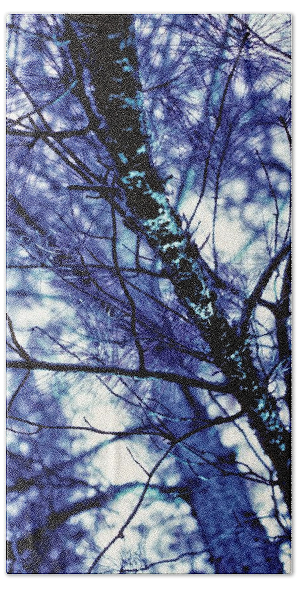 Blue Beach Towel featuring the photograph Pine Trees, Blue Redux by Carol Whaley Addassi