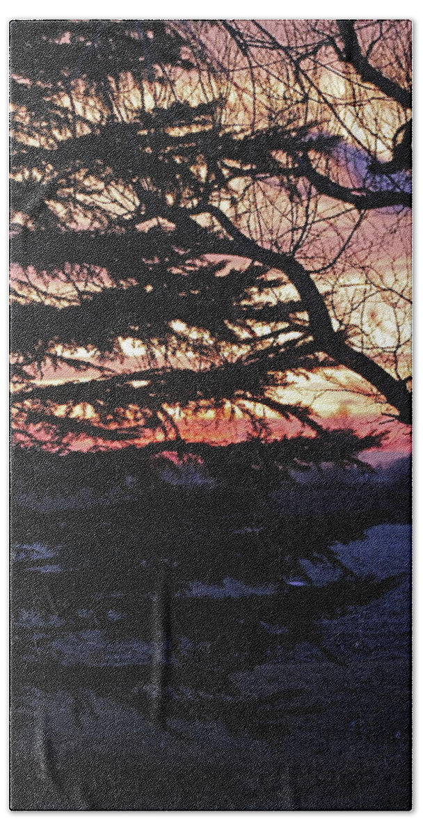 Sunset Beach Towel featuring the photograph Piney Sunset by Wayne Williams