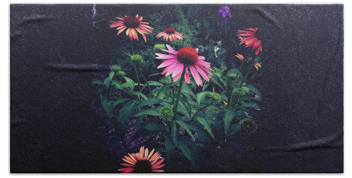 Coneflower Beach Towel featuring the photograph Pink And Orange by Frank J Casella