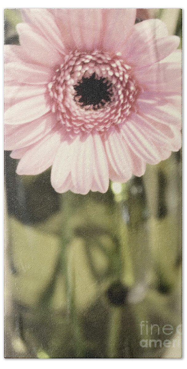 Pink Beach Towel featuring the photograph Pink Blush by Traci Cottingham