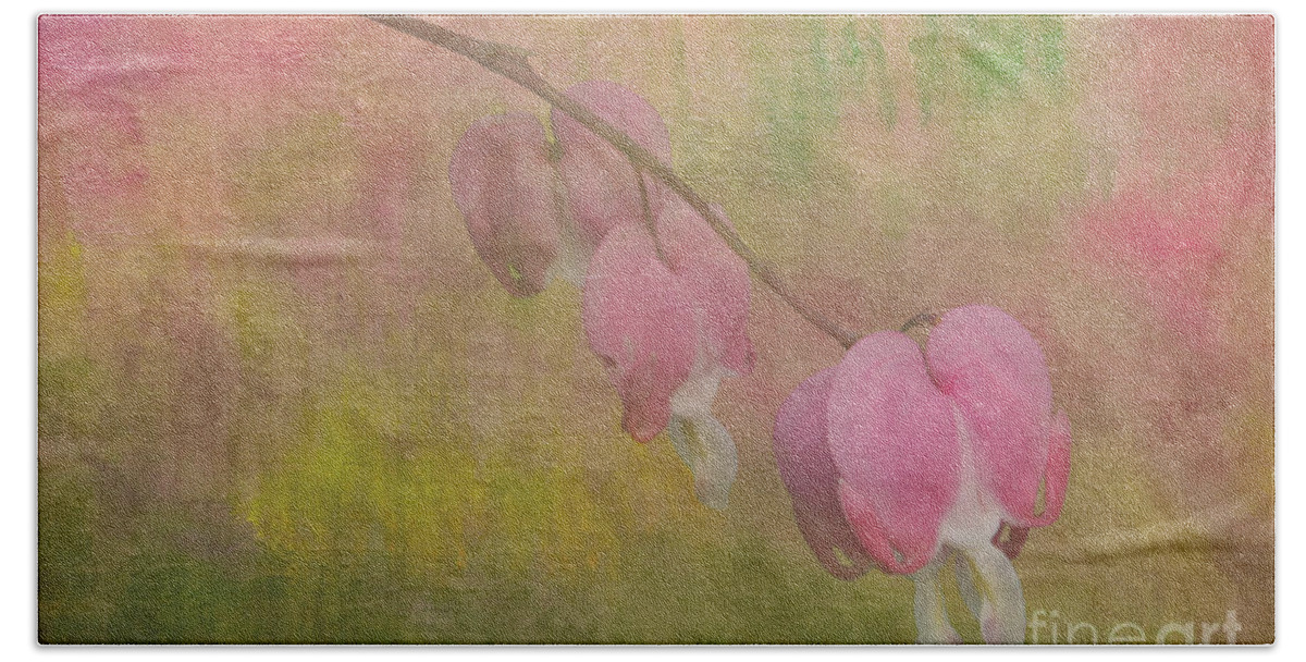 Bleeding Heart Beach Towel featuring the photograph Pink Hearts by Jayne Carney