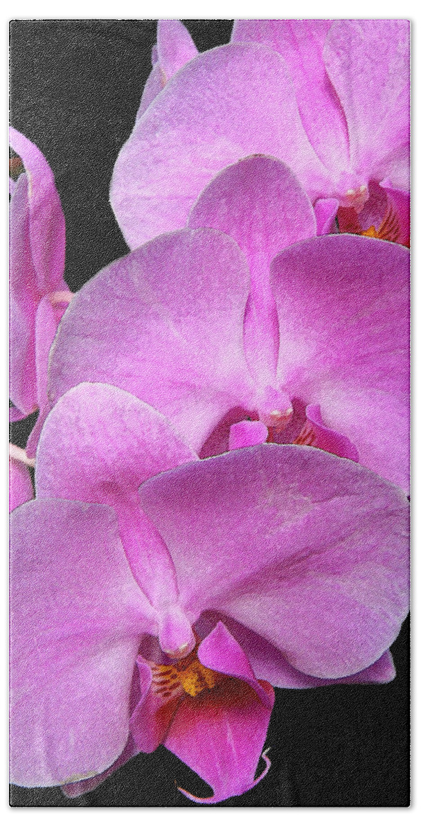 Pink Orchis Beach Towel featuring the digital art Pink Orchids by Gary Olsen-Hasek
