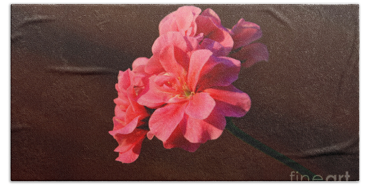 Flower Beach Towel featuring the photograph Pink by Ramona Matei