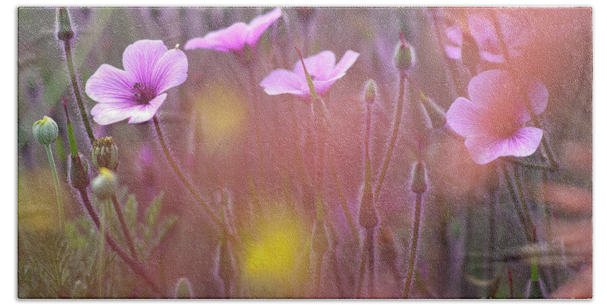 Geranium Beach Towel featuring the photograph Pink wild Geranium by Heiko Koehrer-Wagner