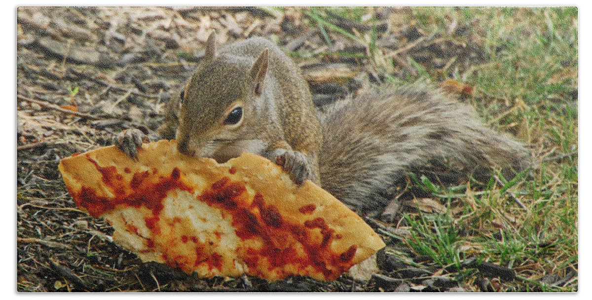 Squirrels Beach Sheet featuring the photograph Pizza For Lunch by Mary Carol Story