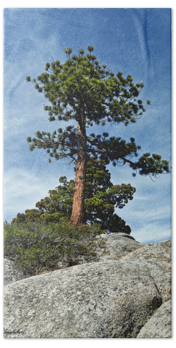 Beauty In Nature Beach Towel featuring the photograph Ponderosa Pine and Granite Boulders by Jeff Goulden