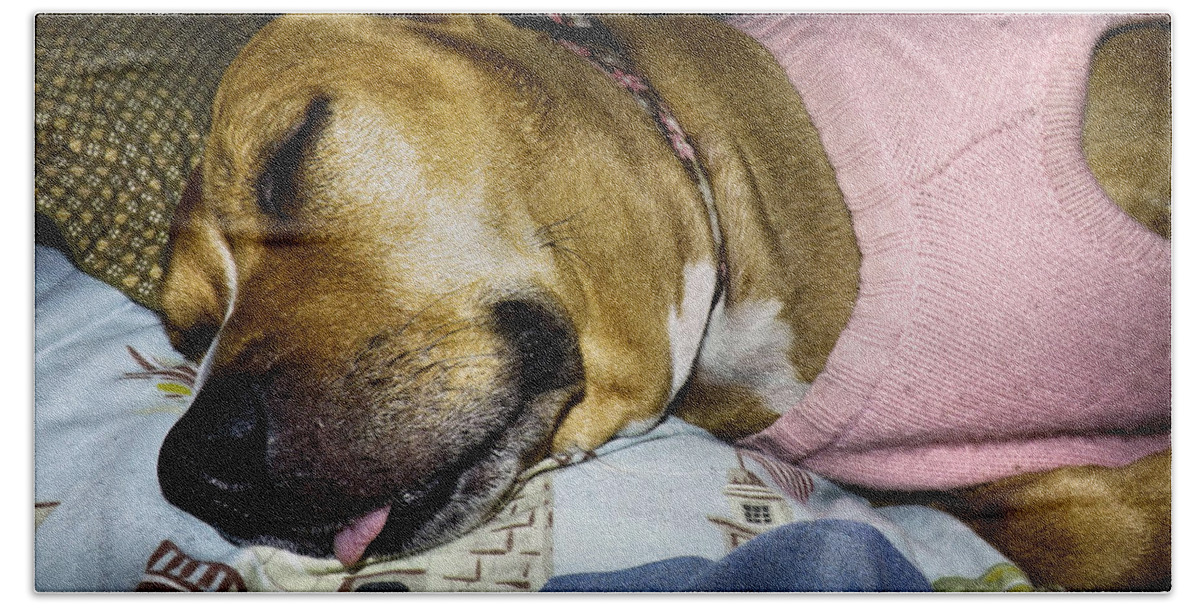  Beach Sheet featuring the photograph Pooped Pup by Robyn King