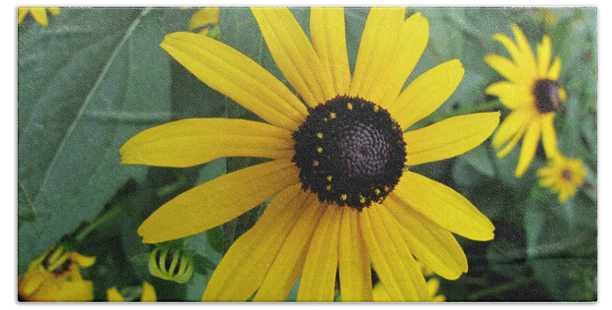 Black-eyed Susan Beach Sheet featuring the photograph Pop Yellow by Arlene Carmel