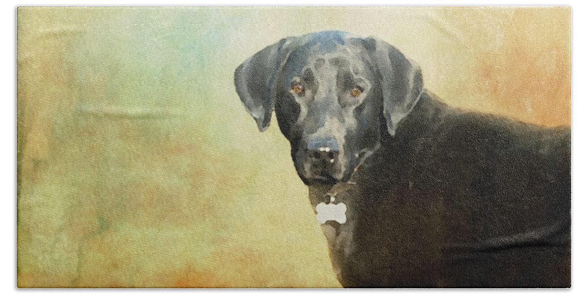 Dog Beach Sheet featuring the painting Portrait of a Black Labrador Retriever by Diane Chandler