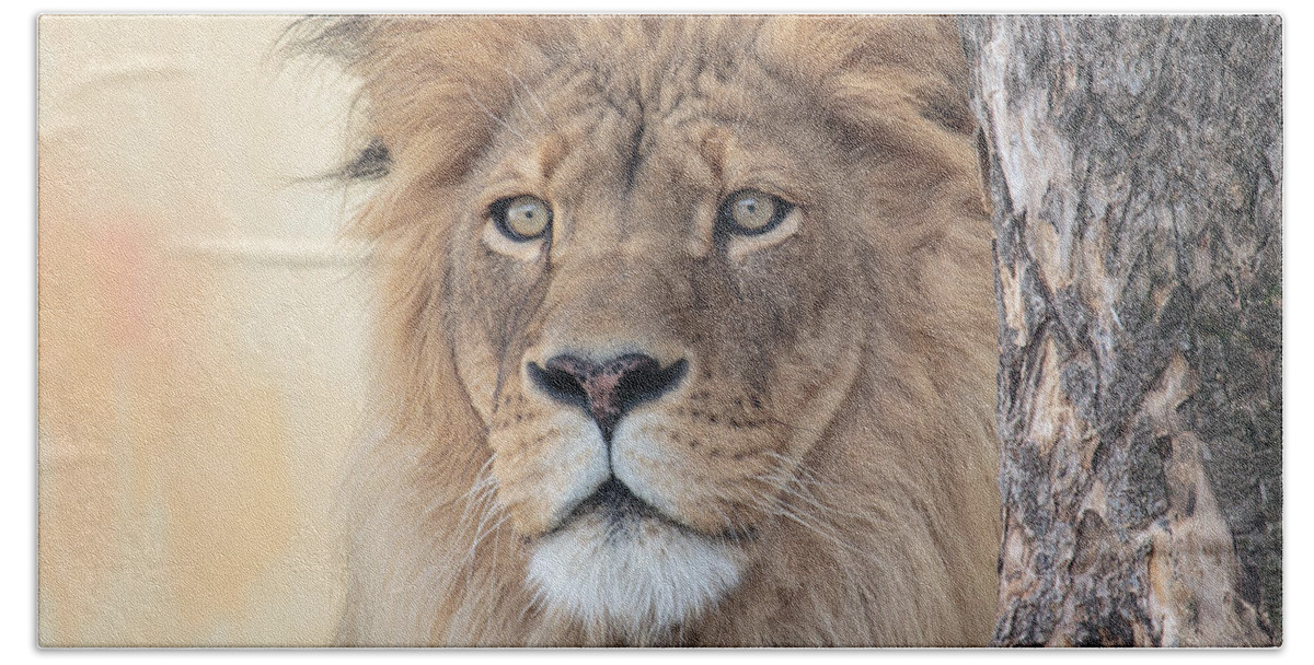 Lion Beach Towel featuring the photograph Portrait of a Lion by Everet Regal