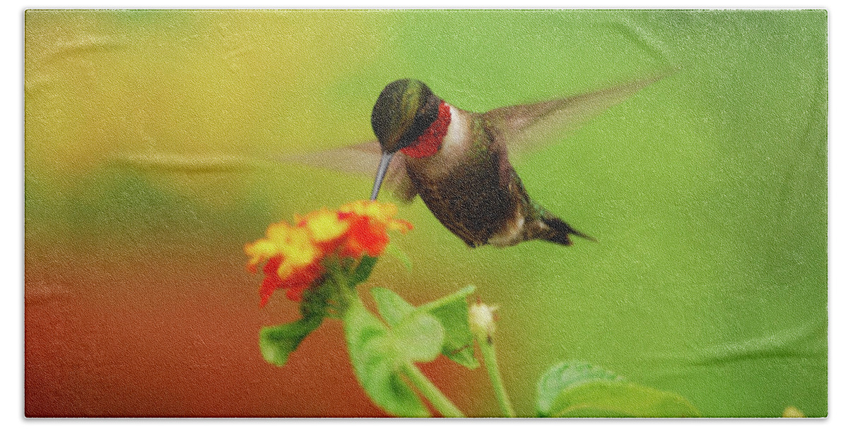 Hummingbird Beach Towel featuring the photograph Pretty As A Picture by Lori Tambakis