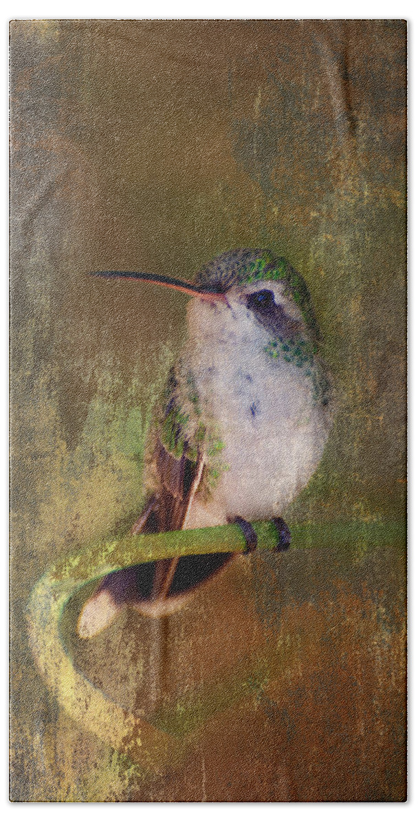 Hummer Beach Towel featuring the photograph Pretty Hummer by Barbara Manis