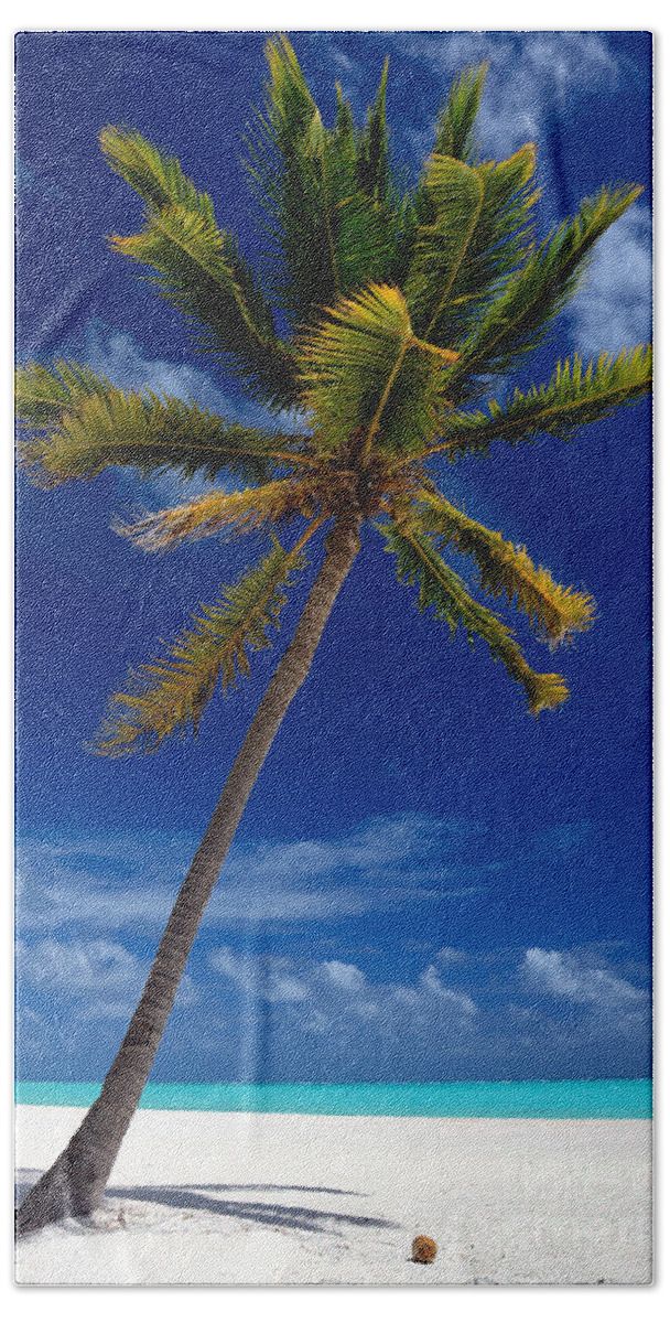 Caribbean Beach Towel featuring the photograph Pristine Tropical Beach by Karen Lee Ensley