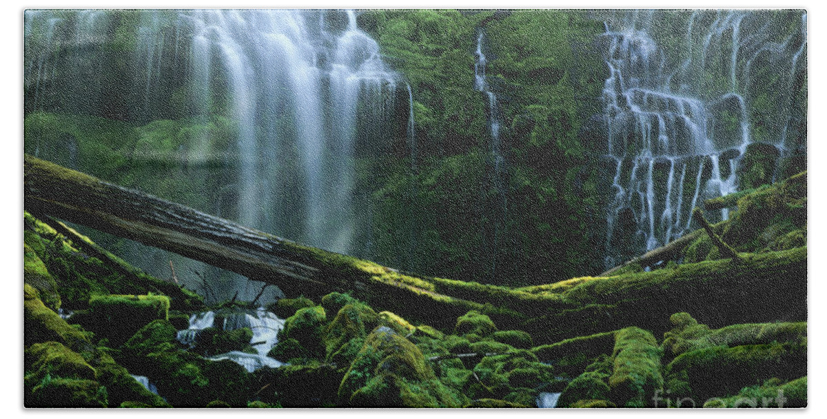 Proxy Falls Beach Towel featuring the photograph Proxy Falls by Bob Christopher