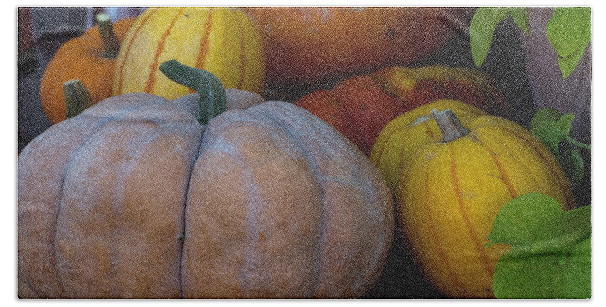 Pumpkin Beach Towel featuring the photograph Pumpkin Harvest by Michael Moriarty