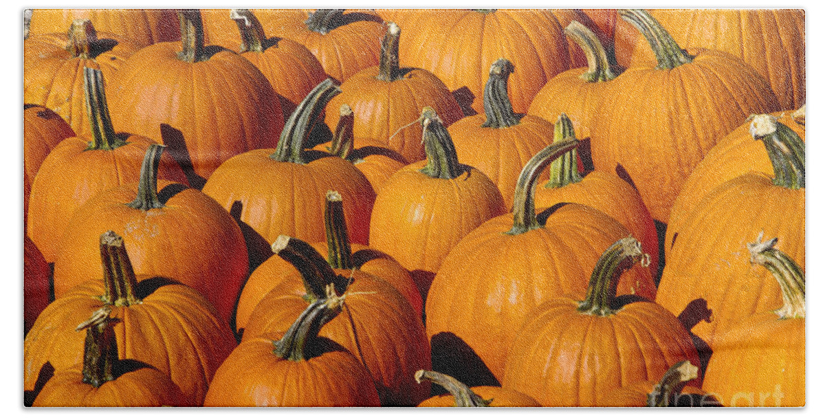 Pumpkin Beach Towel featuring the photograph Pumpkins by Anthony Sacco