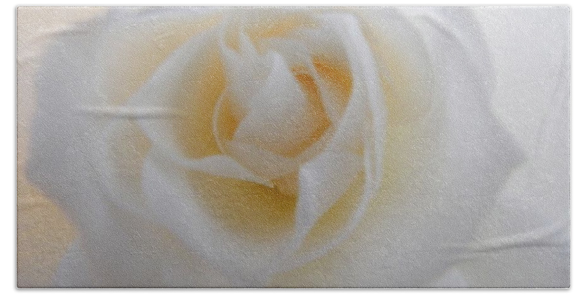 Rose Beach Towel featuring the photograph Purity by Deb Halloran
