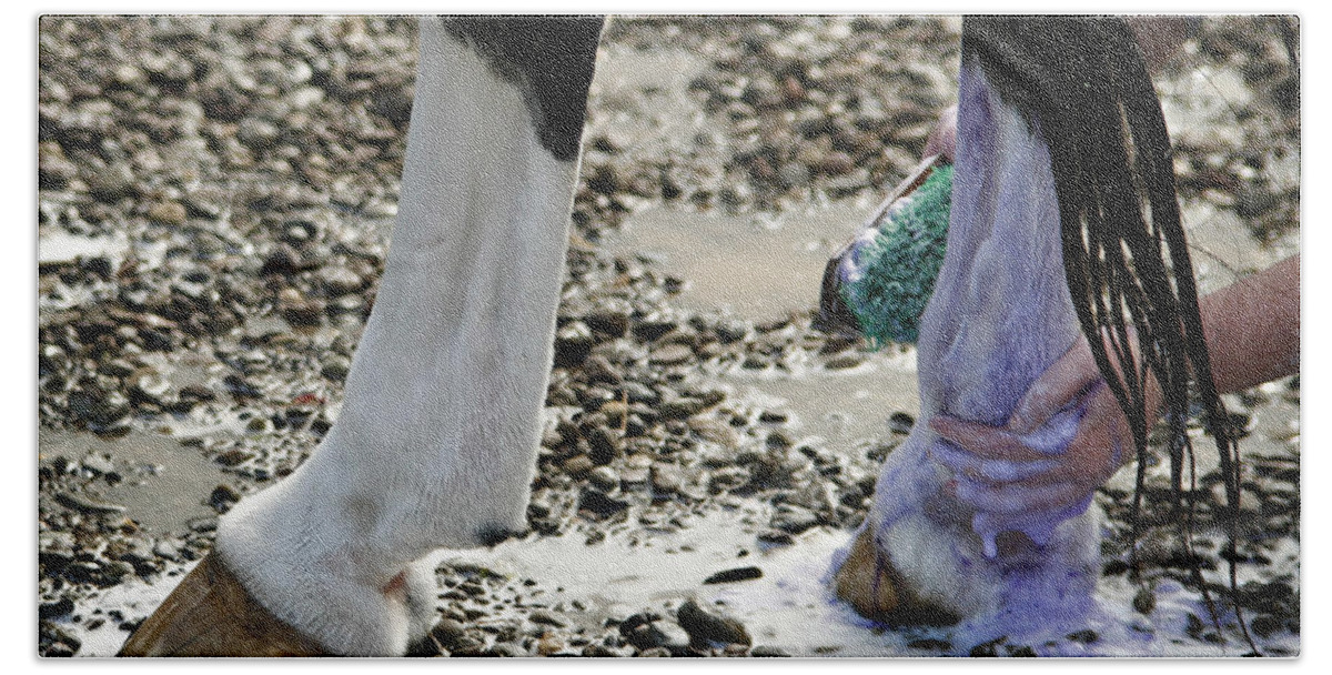 Horse Beach Towel featuring the photograph Purple and Green equals White by Carol Lynn Coronios