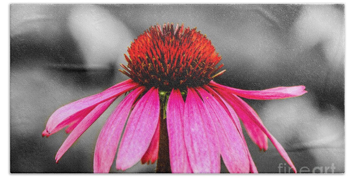 M C Story Beach Towel featuring the photograph Purple Coneflower - SC by Mary Carol Story