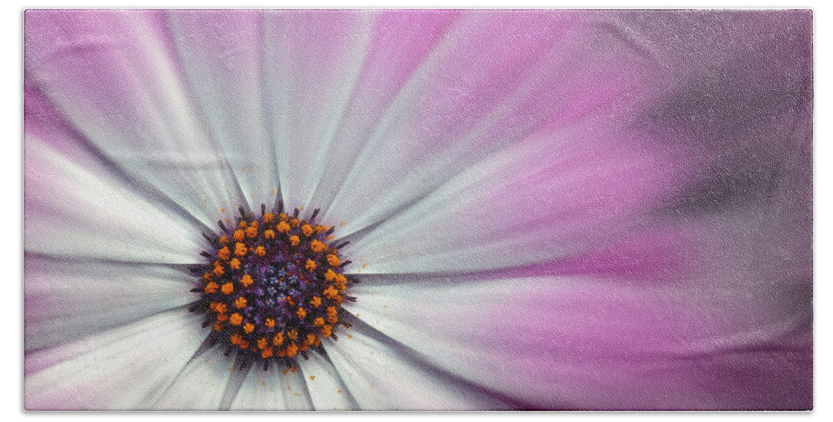 Flowers Beach Towel featuring the digital art Purple Daisy by Nina Bradica