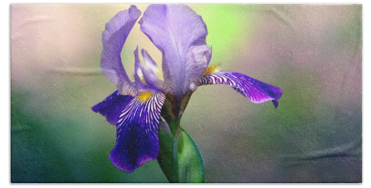 Iris Beach Sheet featuring the photograph Purple Iris by Deena Stoddard