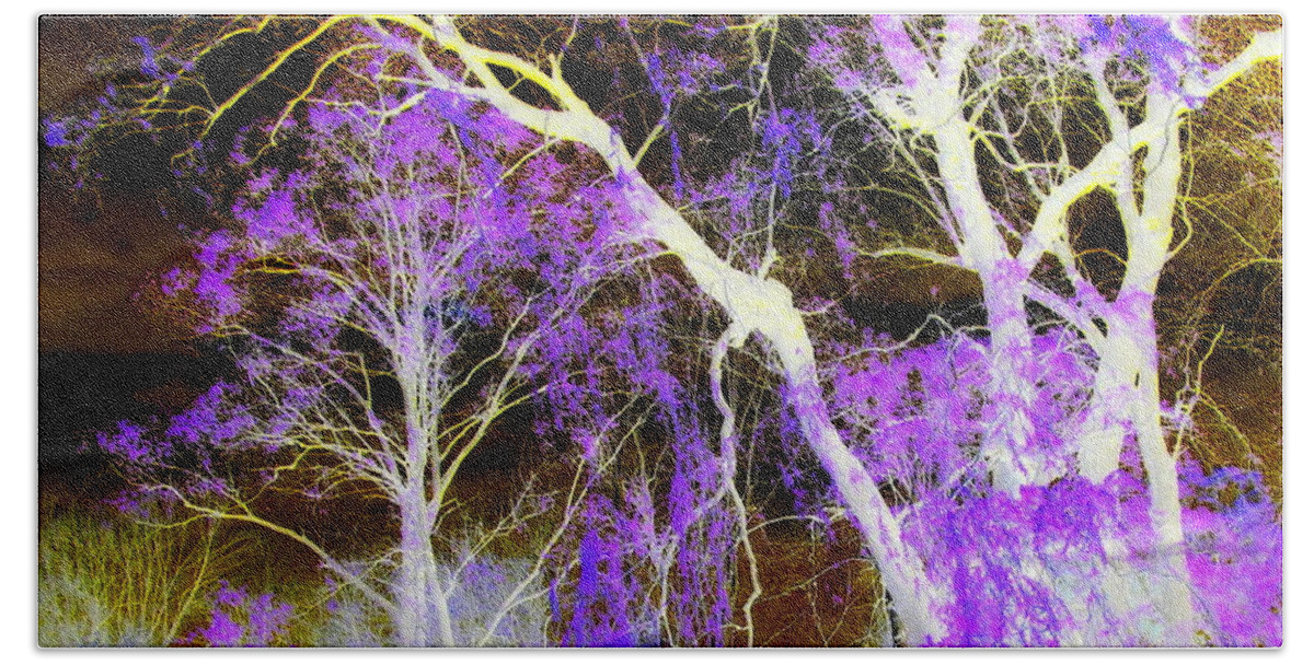 Fantasy Beach Towel featuring the photograph Purple Leaves And White Trees by Jodie Marie Anne Richardson Traugott     aka jm-ART