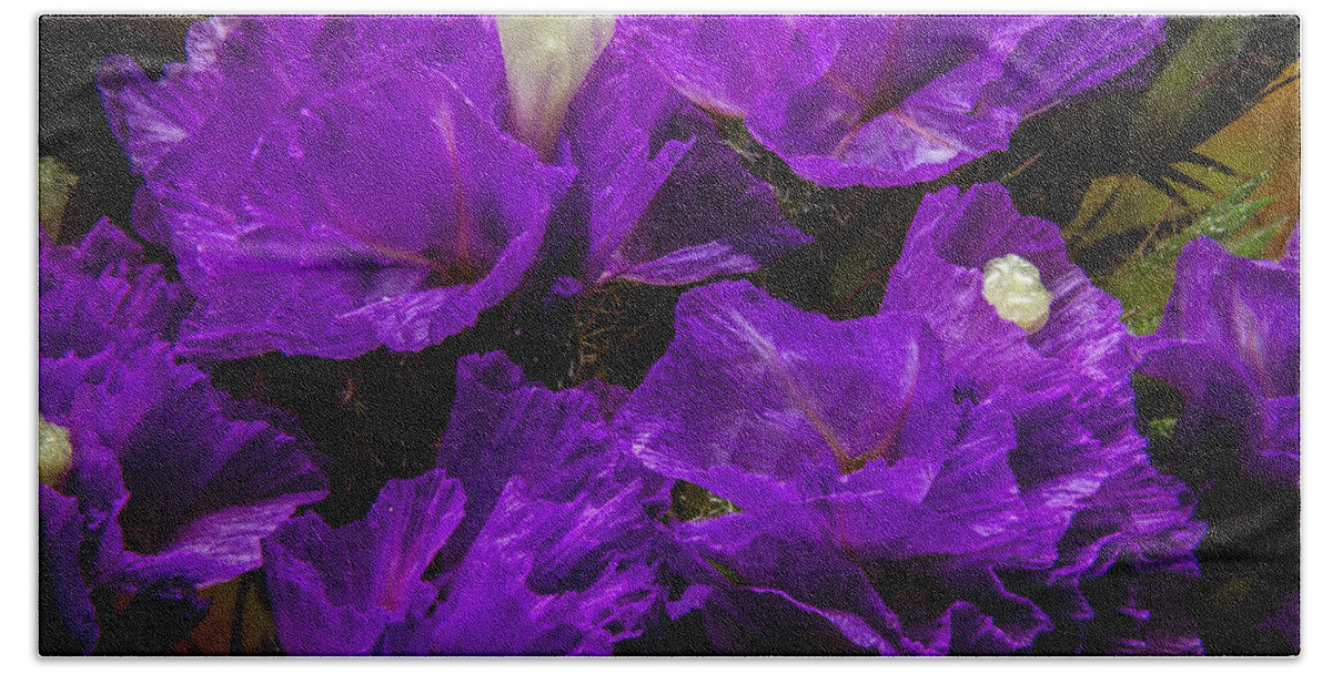 Flower Beach Sheet featuring the photograph Purple Statice by Ron Pate