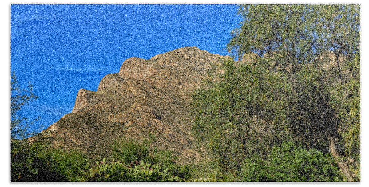 2014 Beach Towel featuring the photograph Pusch Ridge No.6 by Mark Myhaver