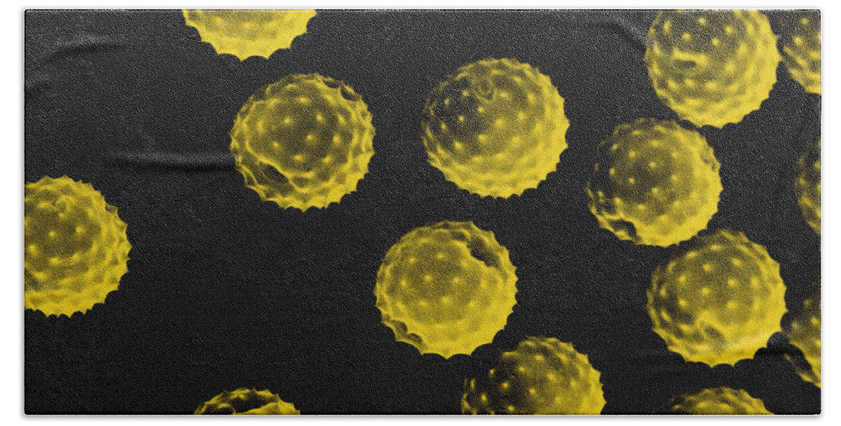 Botany Beach Towel featuring the photograph Ragweed Pollen Sem by David M. Phillips