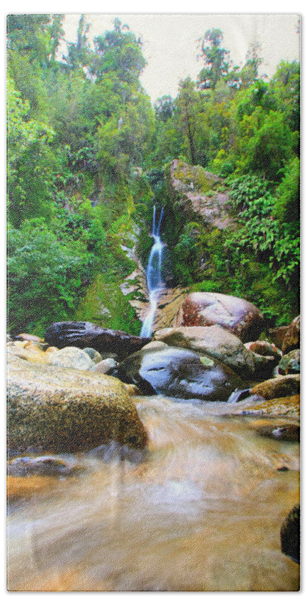 Waterfall Beach Sheet featuring the photograph Rainforest Stream New Zealand by Amanda Stadther