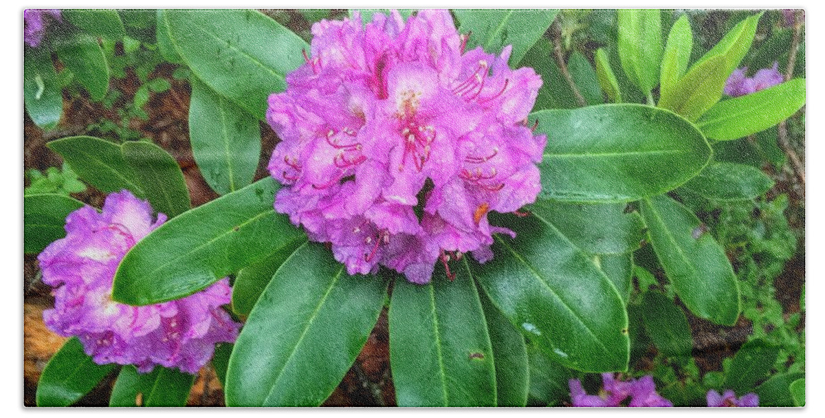 Rhododendron Beach Towel featuring the photograph Rainy Rhodo by Chris Berrier