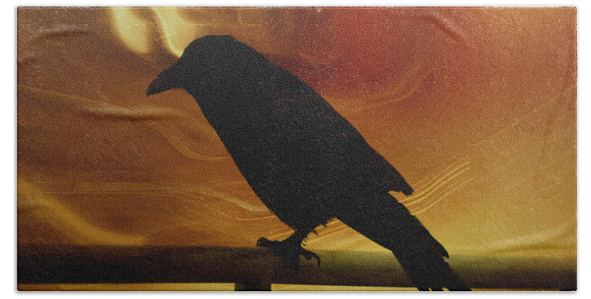 Raven Beach Towel featuring the photograph Raven by Jacklyn Duryea Fraizer