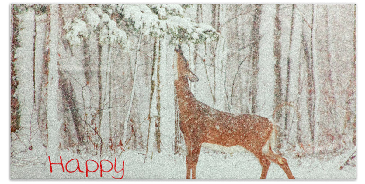 Deer.holidays Beach Towel featuring the photograph Reach For It Happy Holidays by Karol Livote