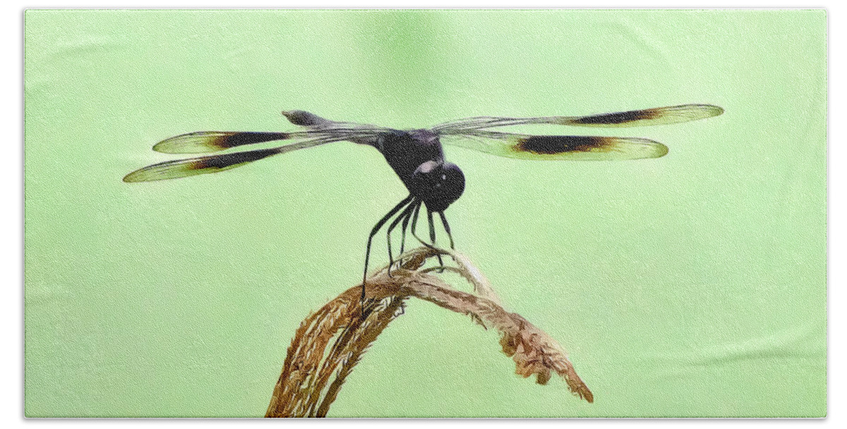 Dragonfly Photograph Beach Towel featuring the photograph Ready for TakeOff by Lucy VanSwearingen