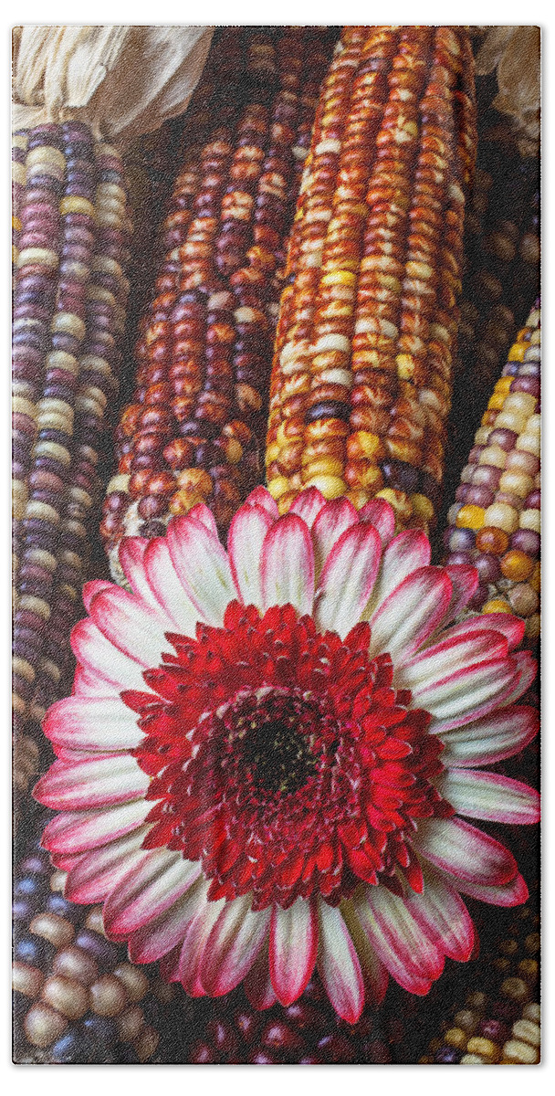 Indian Beach Towel featuring the photograph Red and white mum with Indian corn by Garry Gay