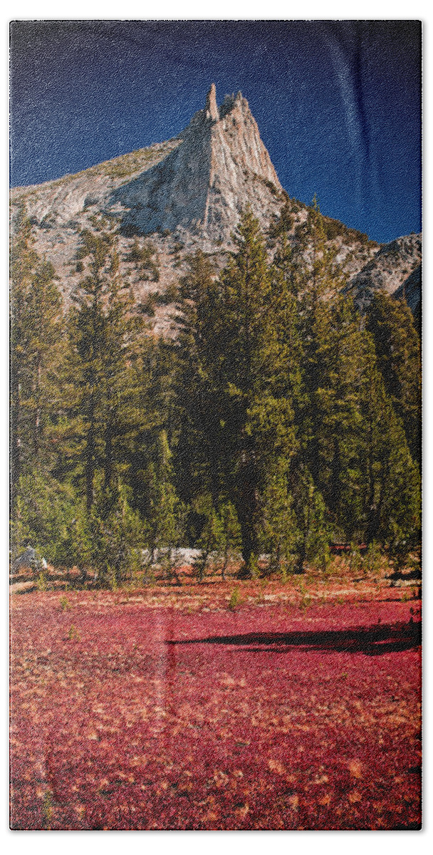 Red Mountains Yosemite national Park Trees Scenic Landscape Nature sierra Nevada Mountain California Rock Granite Climbing Beach Towel featuring the photograph Red Carpet by Cat Connor