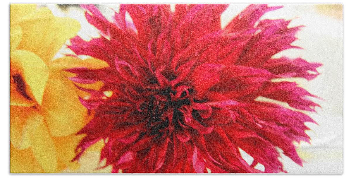 Red Beach Towel featuring the photograph Red Dahlia by Tap On Photo