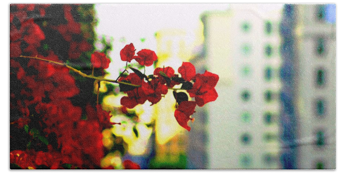 Flowers Beach Sheet featuring the photograph Red Flowers Downtown by Matt Quest
