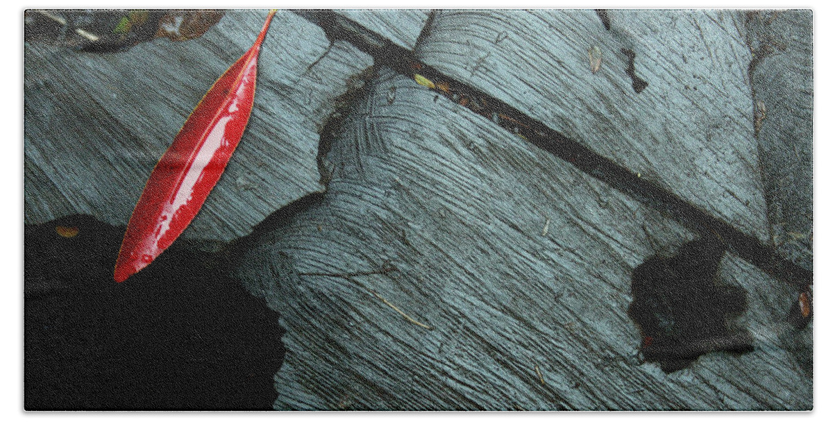 Fall Colors Beach Towel featuring the photograph Red Leaf on Cut Wood by Jennifer Bright Burr