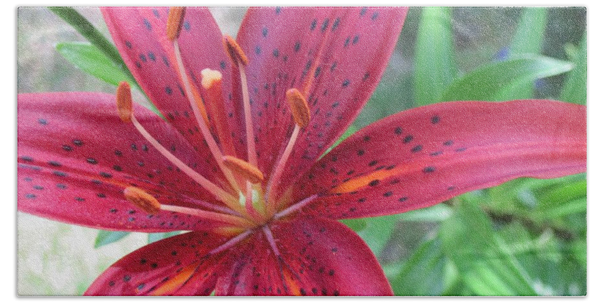 Red Lily Beach Towel featuring the photograph Red Tiger Lily Close-Up 6 by Doug Morgan