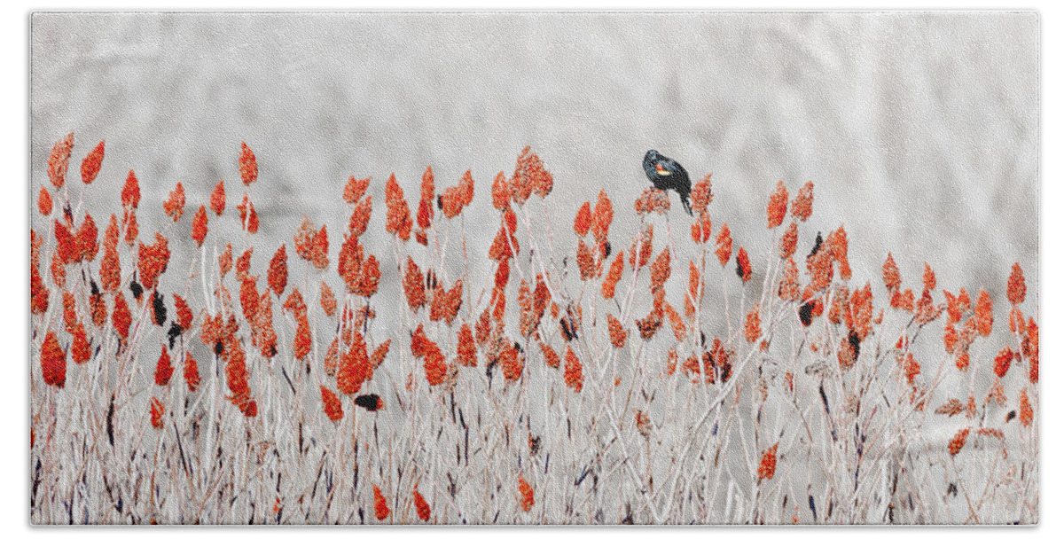 Bird Beach Sheet featuring the photograph Red-winged Blackbird by Steven Ralser