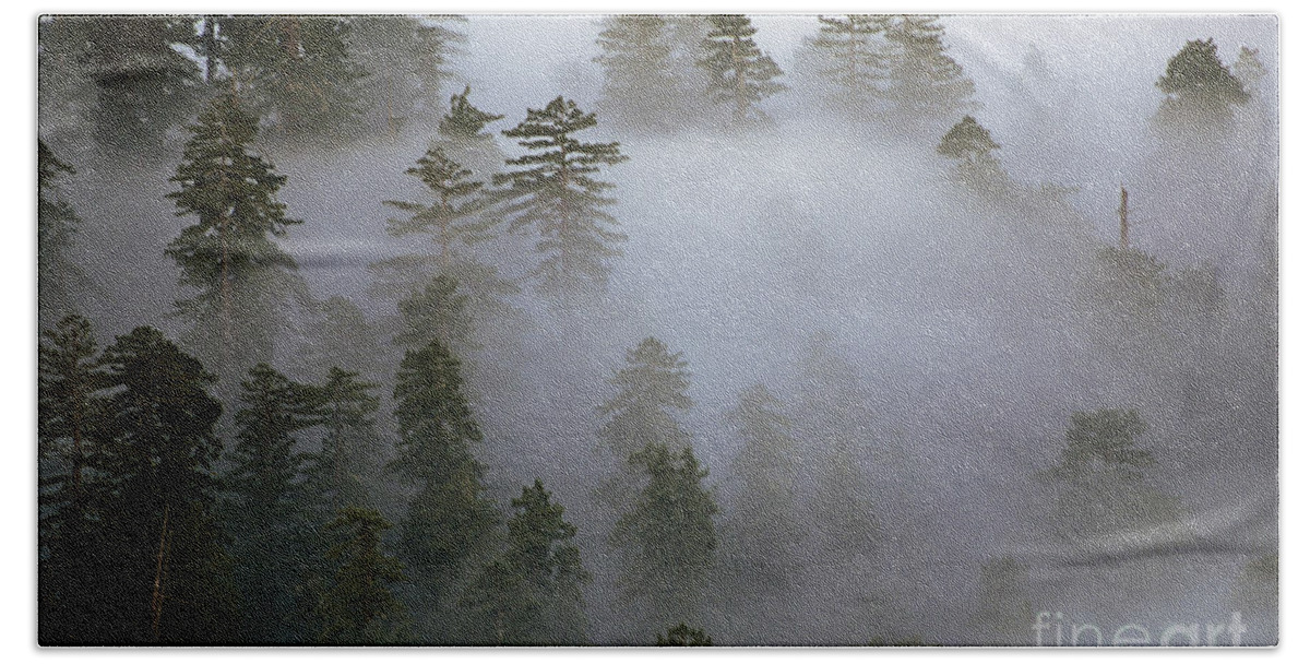 Nature Beach Sheet featuring the photograph Redwood Creek overlook with giant redwoods by Jim Corwin